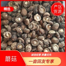 精品特级香菇2022手工挑选，朵朵厚实，一手货源