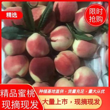 北京八号红毛桃毛桃水蜜桃，数量充足，欢迎采购，考察合作