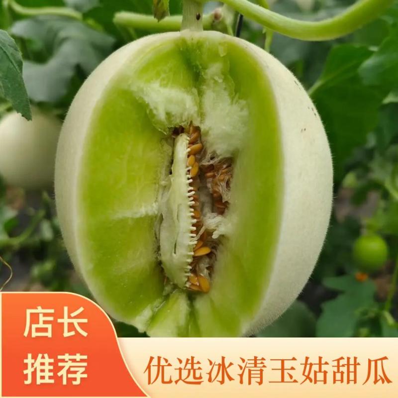 玉菇甜瓜冰清玉菇糯甜爽口唇齿留香回味悠长老少皆宜