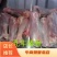 牛小腿乳牛棒骨！小牛腿一件40斤25个左右适合酒店加工厂