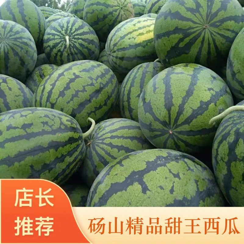 【推荐】安徽西瓜甜王西瓜大量上市产地直供每日报价