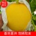 【精品】河北精品久红瑞甜瓜口感香甜现摘现发