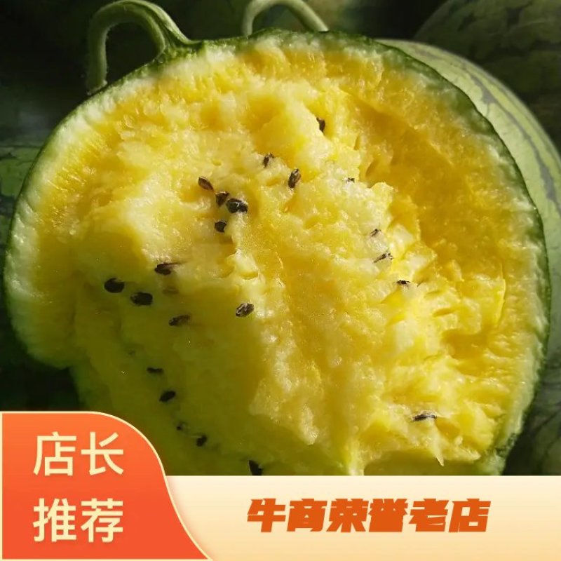 正宗农友特小凤，3斤打底9成熟量大从优！欢迎新老客户定购