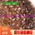 红罗非鱼苗，彩虹雕鱼苗，珍珠白，2022新苗上市