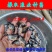 淡水白鲳鱼苗，红鲳鱼苗，鲳鱼苗，抗病毒苗适合各种养殖模式