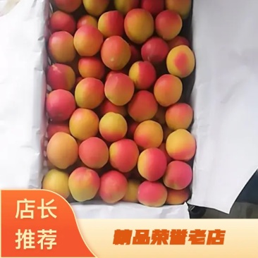 河北串枝红杏基地直发，货源充足量大从优，可视频看货，欢迎来电