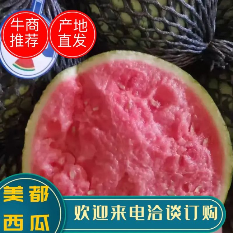 河南开封沙地美都西瓜诚信经营全国代发欢迎外地客商致电
