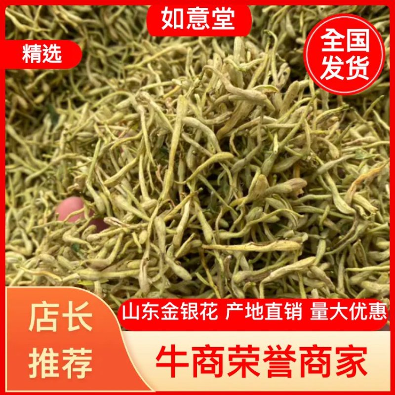 金银花山东金银花包含量产地直销量大从优