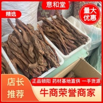 锁阳正品锁阳批发各种中药材产地直销量大从优