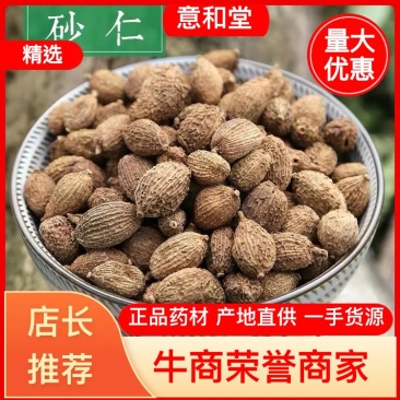 中药材香砂砂仁货品正宗煲汤食材散装干货