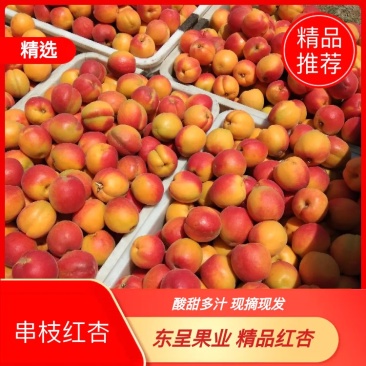 【串枝红杏】超市，电商，市场，速冻，果脯。
