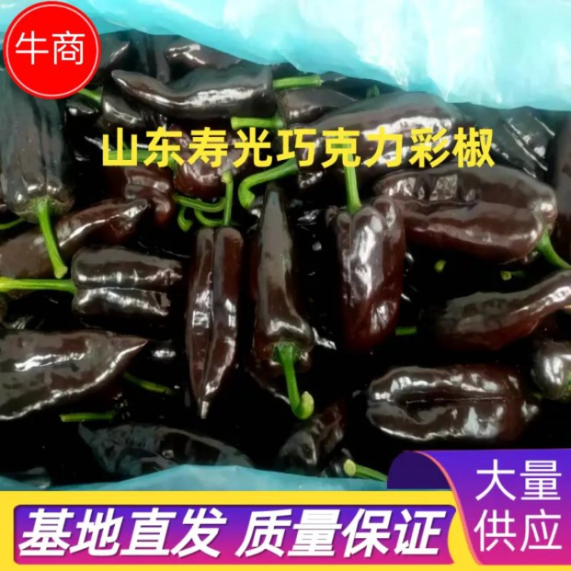 巧克力彩椒，想种植的跟我联系，种苗供应