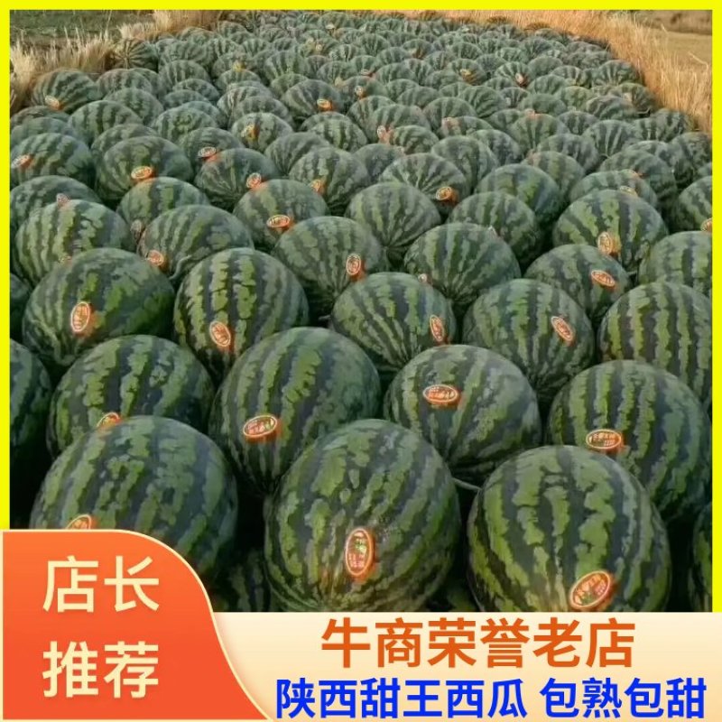 陕西甜王西瓜，大量上市，产地直供，陕西西瓜