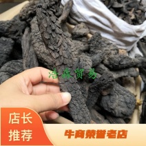 肉苁蓉纯自然生长个子药食两用2斤起包邮