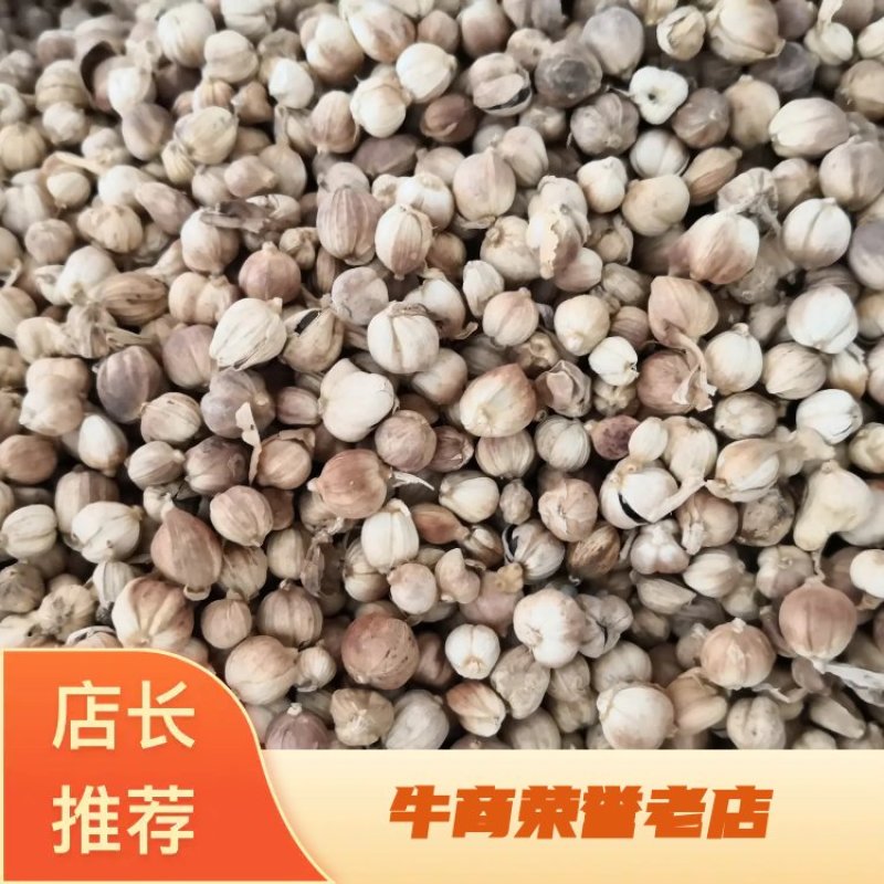 白豆蔻药食两用干货2斤起包邮常年经营各种中药材