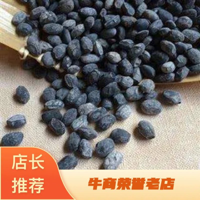 淡豆豉干货中药材用量大从优常年经营各种中药材