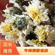 贡菊选货干货黄山贡菊1斤起包邮
