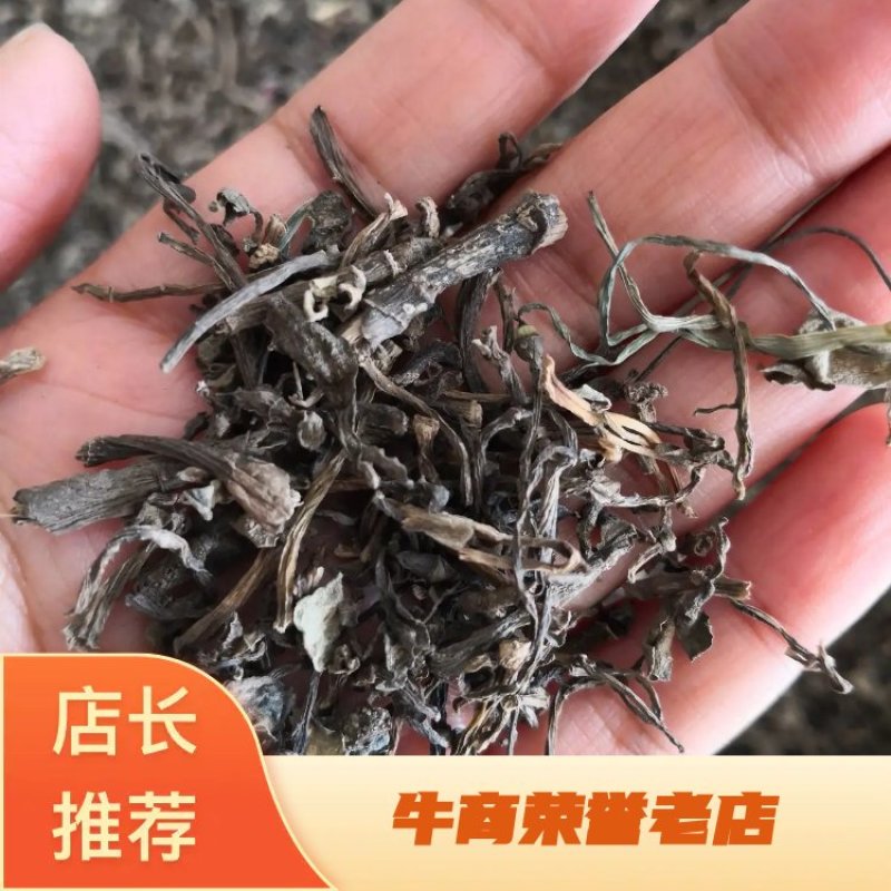 马齿苋河北干货散装量大从优