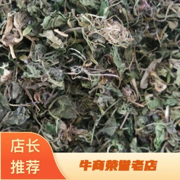 药用紫花地丁河北干货散装人工种植产地直销量大从