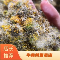 旋覆花河南干货一公斤起包邮量大从优