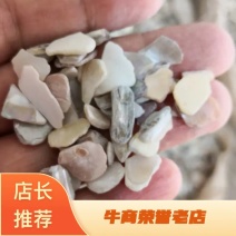 珍珠母山东干货人工养殖2斤起包邮