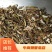 鬼针草安徽干货2斤起包邮量大从优