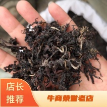 海藻山东水洗干货选货可药食两用无杂质量大从优