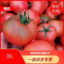 水果番茄草莓柿子铁皮柿子生吃番茄一件代发