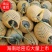 《优选货源》哈密瓜晓密25号网纹瓜对接电商市场批发