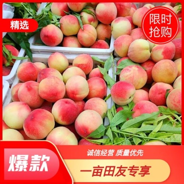 郑二毛桃，产地直供，专业代办量大从优，店长推荐品质之选