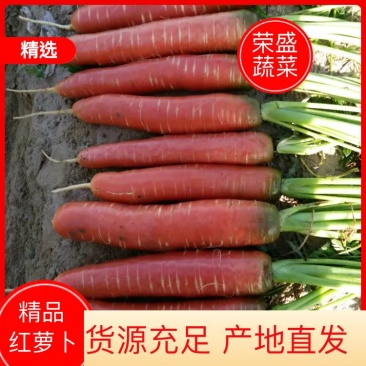 陕西秤杆红萝卜3两以上带土20公分
