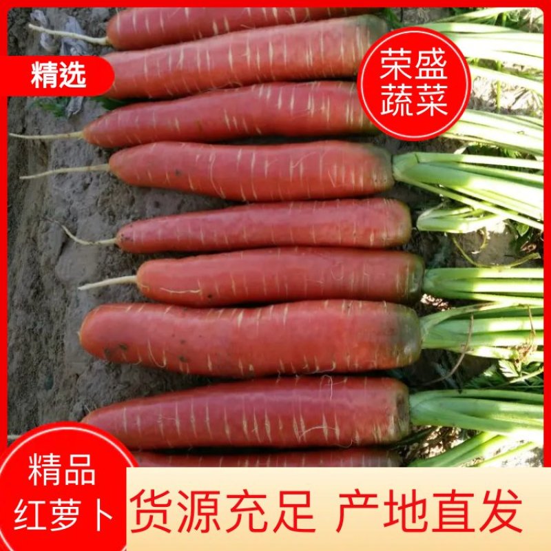 陕西秤杆红萝卜3两以上带土20公分
