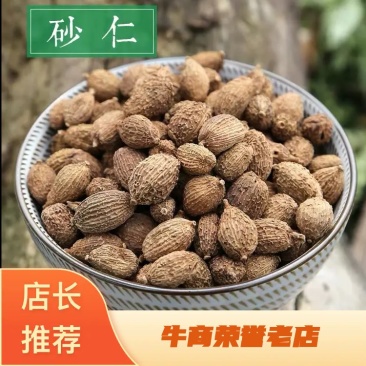 砂仁阳春砂仁香料无硫磺批发各种中药材量大从优