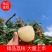 荔枝广西荔枝大量上市欢迎老板前来包果园，质量好价格低