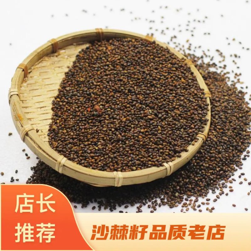 沙棘籽种中药材甘肃野生沙棘籽小果批量走货按量定价量大价优