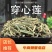 穿心莲穿心连产地直销量大从优野生