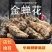 金蝉花大别山货批发各种中药材产地直销