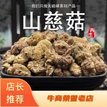 山慈姑云南货量大从优批发各种中药材产地直销