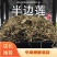 半边莲量大从优产地直销批发各种中药材