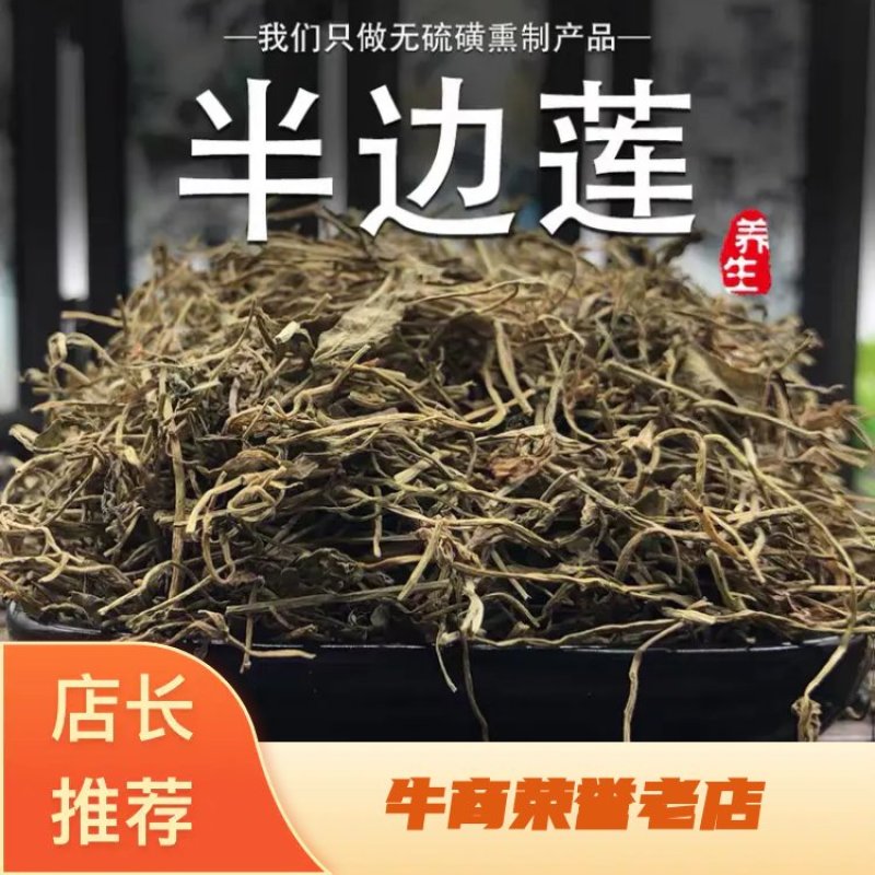 半边莲量大从优产地直销批发各种中药材