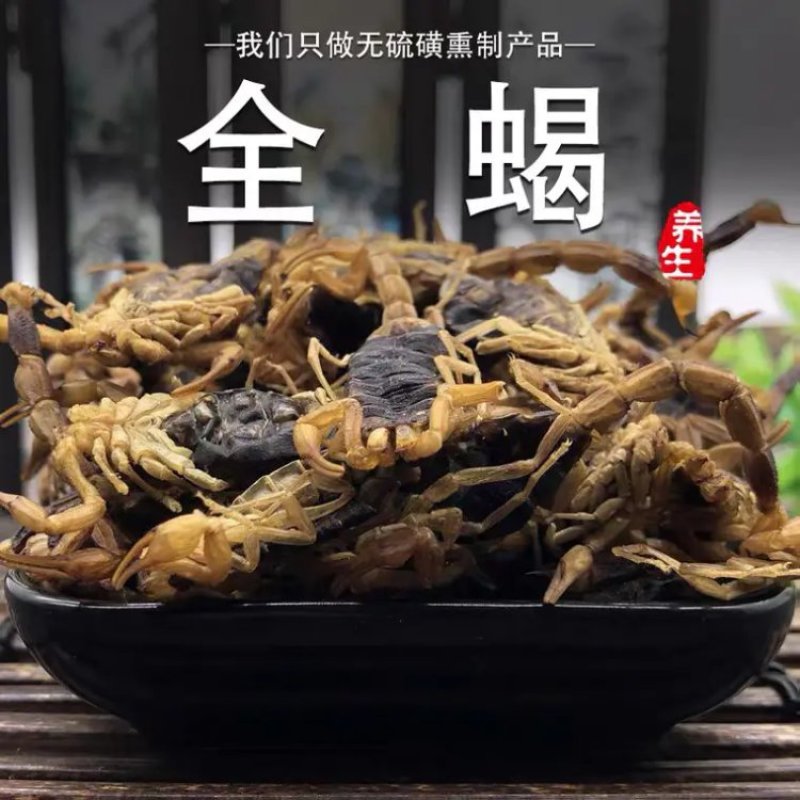 全蝎蝎子量大从优清水货产地直销无盐