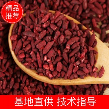 红曲米福建古田红曲米红曲天然可食用色素粉烘焙红酒曲