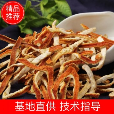 陈皮丝，好货纯干，大量现货，门店专卖，欢迎联系