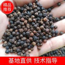 特级黑胡椒粒研磨粒黑胡椒粉碎西餐牛排烧烤香料调料