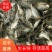 鲤鱼苗批发零售技术支持成活率高，品相好，