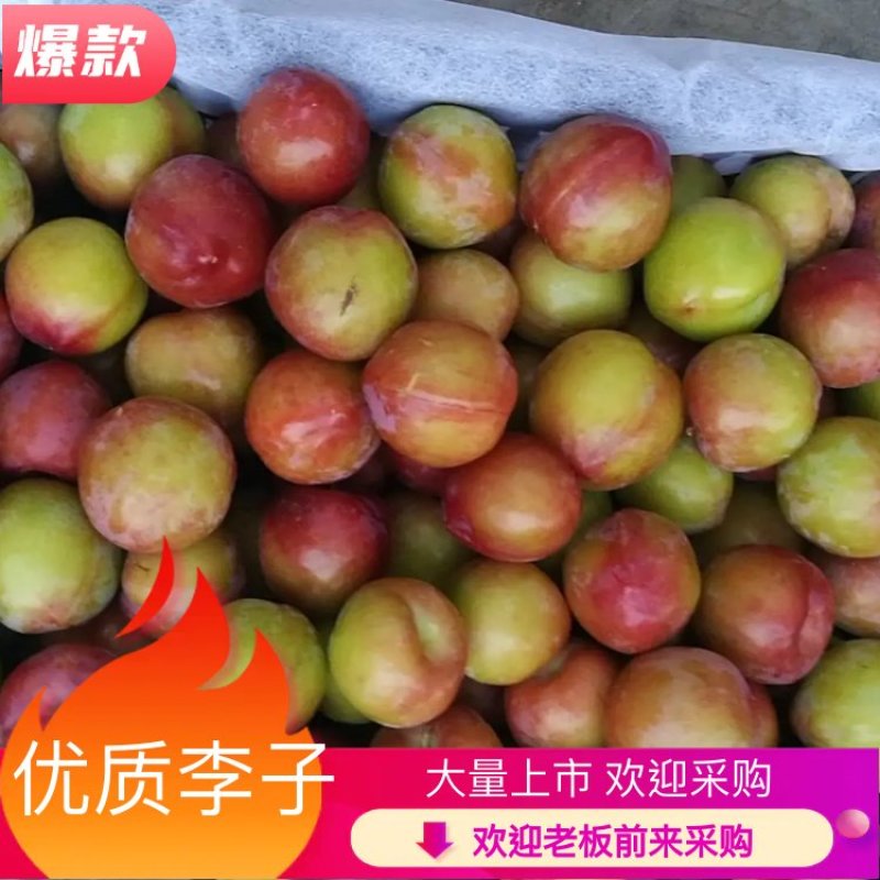 甜李子，大石早生，403李子开始了，支持视频看货