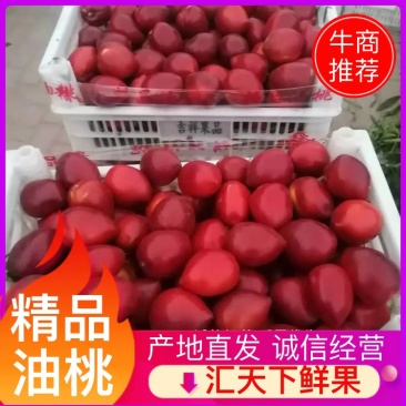 【推荐】山东万亩油桃产地直发量大从优欢迎来电咨询！