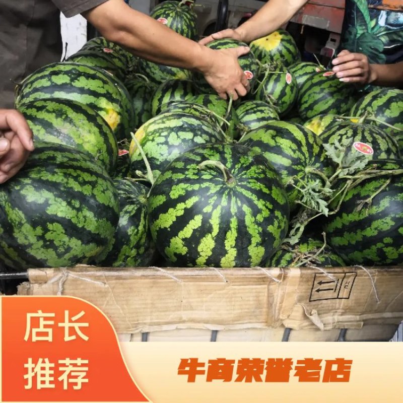 【西瓜】甜王产地直供，皮毛亮，耐运输，为全国各地电商供货