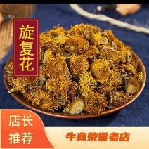 旋复花野生旋覆花金钱菊产地直销量大从优