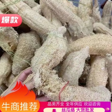 药厂丝瓜络饮片初选去霉去黑颜色白产地直销